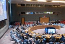 تيتيه تقدم إحاطة أمام مجلس الأمن تيتيه تقدم إحاطة أمام مجلس الأمن