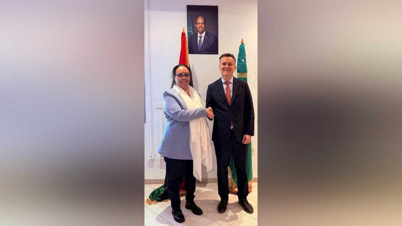 لقاء فرنسي–أفريقي لمناقشة الأوضاع الليبية لقاء فرنسي–أفريقي لمناقشة الأوضاع الليبية