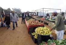 مسح وطني جديد يكشف فجوات المعيشة في ليبيا مسح وطني جديد يكشف فجوات المعيشة في ليبيا