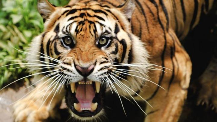 des scientifiques capturent de l'ADN dans l'air et comment ils pourraient révolutionner la recherche biologique des scientifiques capturent de l'ADN dans l'air et comment ils pourraient révolutionner la recherche biologique