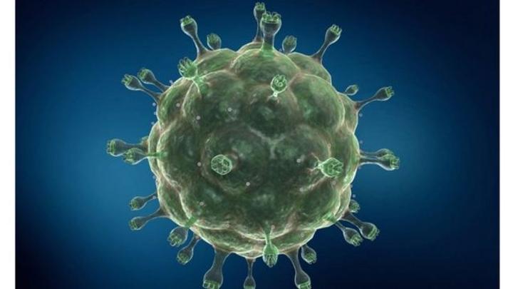 VIH : la première femme au monde qui serait guérie du virus VIH : la première femme au monde qui serait guérie du virus