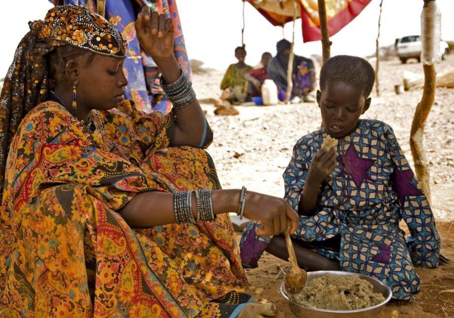 Crises alimentaires au Sahel et en Afrique de l'Ouest : les partenaires s’engagent à agir pour minimiser les impacts Crises alimentaires au Sahel et en Afrique de l'Ouest : les partenaires s’engagent à agir pour minimiser les impacts