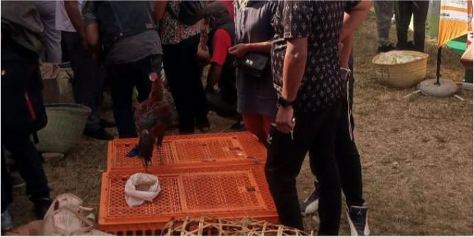 13e édition de la FEPA : Les produits de l’élevage à l’honneur 13e édition de la FEPA : Les produits de l’élevage à l’honneur