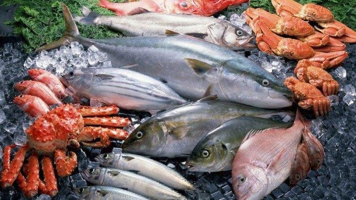 Ressources marines : Absence de données sur les stocks disponibles Ressources marines : Absence de données sur les stocks disponibles