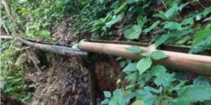 Festival Tôlopandragna : Une deuxième édition en préparation Festival Tôlopandragna : Une deuxième édition en préparation