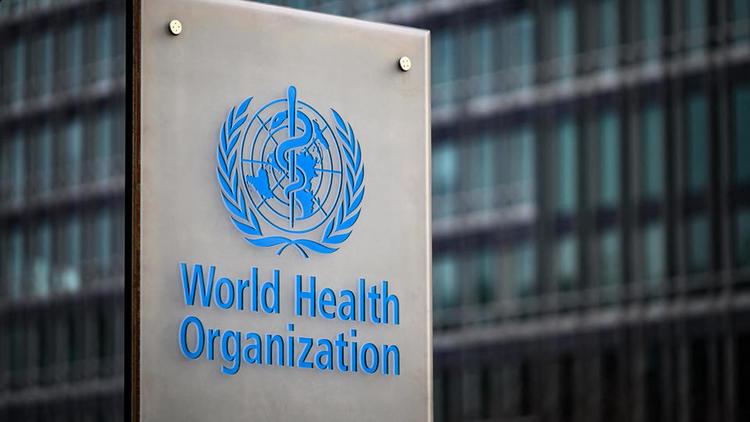 VARIOLE DU SINGE : L'EUROPE EST «L'ÉPICENTRE» DE LA FLAMBÉE DE LA MALADIE, SELON L'OMS VARIOLE DU SINGE : L'EUROPE EST «L'ÉPICENTRE» DE LA FLAMBÉE DE LA MALADIE, SELON L'OMS