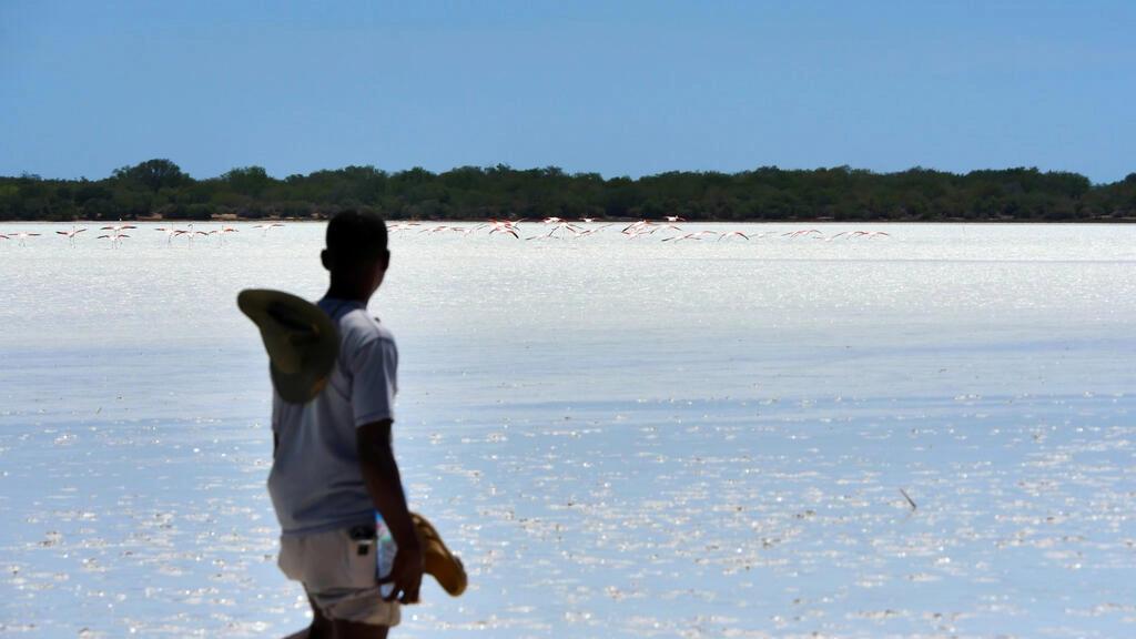 les autorités au chevet du parc national de Tsimanampetsosta les autorités au chevet du parc national de Tsimanampetsosta