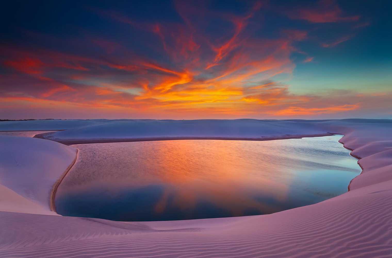 La savane du Cerrado, l’autre trésor du Brésil à protéger La savane du Cerrado, l’autre trésor du Brésil à protéger