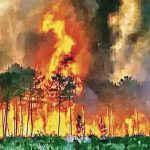 des feux de forêt hors de contrôle des feux de forêt hors de contrôle