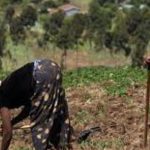 une enveloppe de 1,3 million de dollars destinée à soutenir les agriculteurs une enveloppe de 1,3 million de dollars destinée à soutenir les agriculteurs