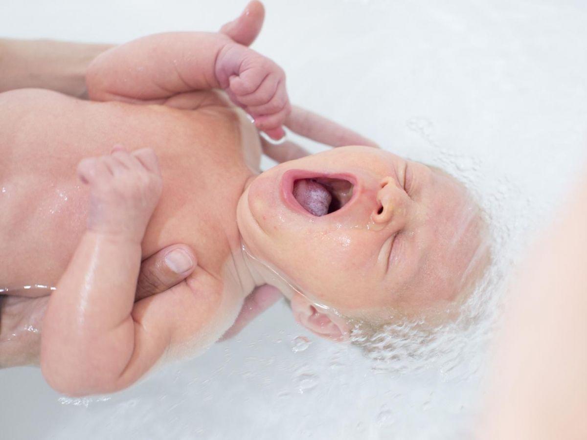 PODCAST. Sixième Science, épisode 96 : pourquoi bâille-t-on ? PODCAST. Sixième Science, épisode 96 : pourquoi bâille-t-on ?