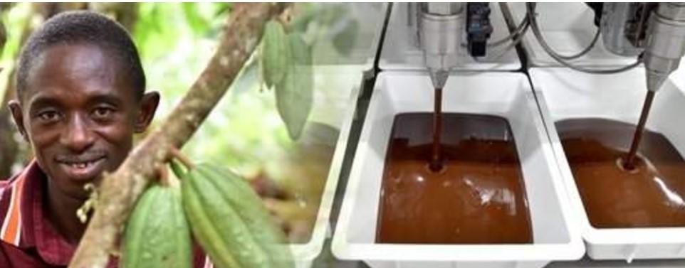 Chronique du lundi – la filiere du cacao en Afrique : un gisement d’emplois, des opportunités d’affaires, mais des obstacles au chocolat « made in Africa » Chronique du lundi – la filiere du cacao en Afrique : un gisement d’emplois, des opportunités d’affaires, mais des obstacles au chocolat « made in Africa »