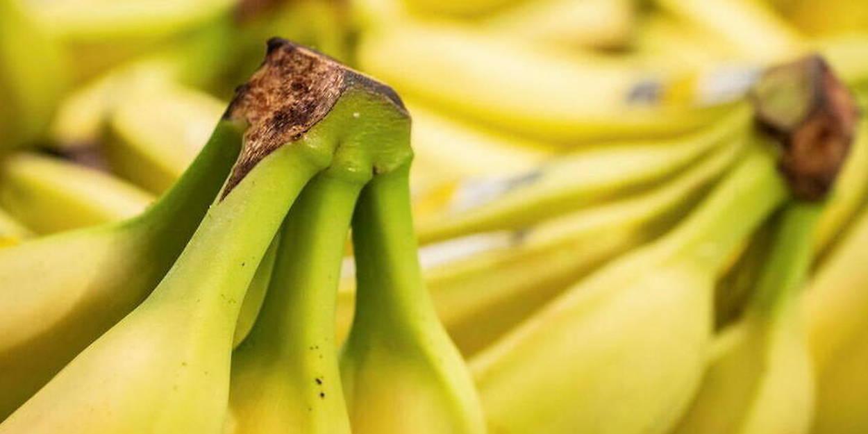 Est-ce que manger des bananes évite les crampes ?
