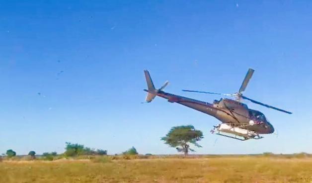 INVASION ACRIDIENNE – Le grand Sud et la partie Ouest de Madagascar touchés par des essaims de criquets INVASION ACRIDIENNE – Le grand Sud et la partie Ouest de Madagascar touchés par des essaims de criquets