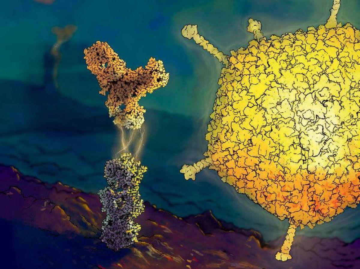 Des traitements prometteurs contre le glioblastome, cette tumeur du cerveau qui tue 3500 personnes en France chaque année Des traitements prometteurs contre le glioblastome, cette tumeur du cerveau qui tue 3500 personnes en France chaque année