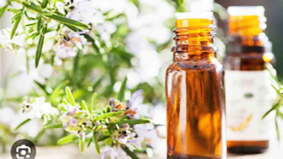 DÉVELOPPEMENT – Le tourisme Bio et Bien-être gagne du terrain DÉVELOPPEMENT – Le tourisme Bio et Bien-être gagne du terrain