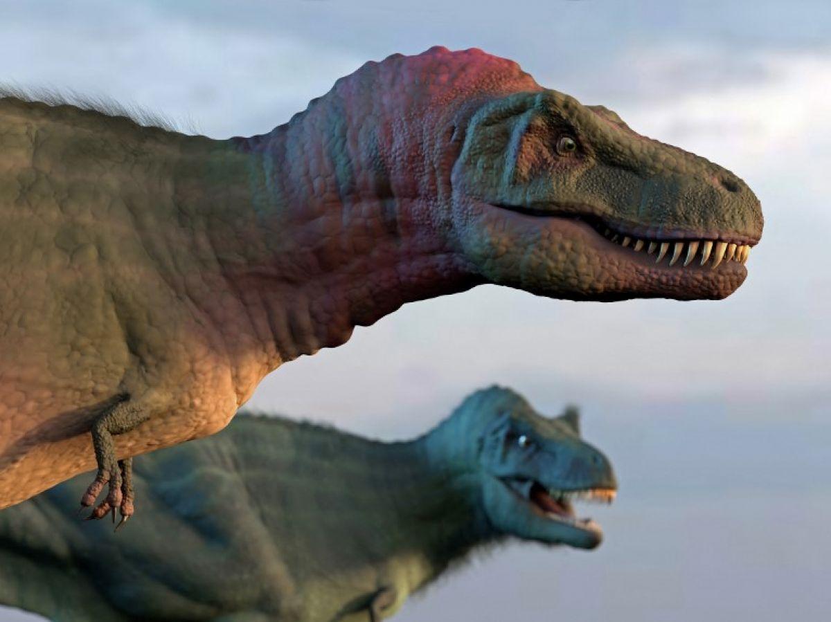 Dinosaures : au-delà de la magie de l’écran Dinosaures : au-delà de la magie de l’écran