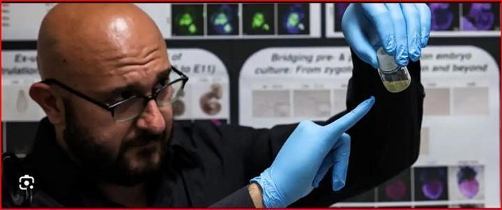 Le premier embryon humain artificiel a été créé, c’est très inquiétant Le premier embryon humain artificiel a été créé, c’est très inquiétant