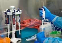 L’OIM demande 18,5 millions de dollars pour lutter contre la variole du singe L'OIM demande 18,5 millions de dollars pour lutter contre la variole du singe