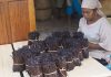Vanille : 4 400 tonnes exportées pour la campagne 2023-2024 Vanille : 4 400 tonnes exportées pour la campagne 2023-2024