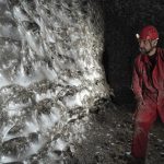 Colocation Géante de 110 000 Araignées en Albanie Colocation Géante de 110 000 Araignées en Albanie