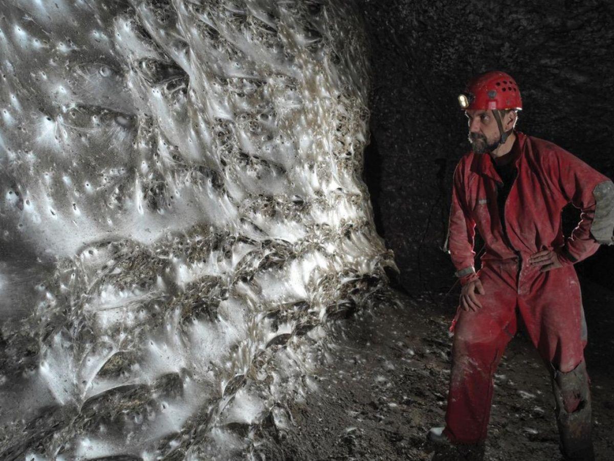 Colocation Géante de 110 000 Araignées en Albanie Colocation Géante de 110 000 Araignées en Albanie