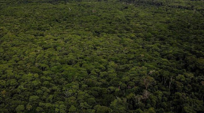 L’Afrique À la COP30: Exigence D’Actions Concrètes L'Afrique À la COP30: Exigence D'Actions Concrètes