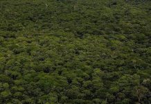 COP32 Accueillie par L’Éthiopie en 2027 COP32 Accueillie par L'Éthiopie en 2027