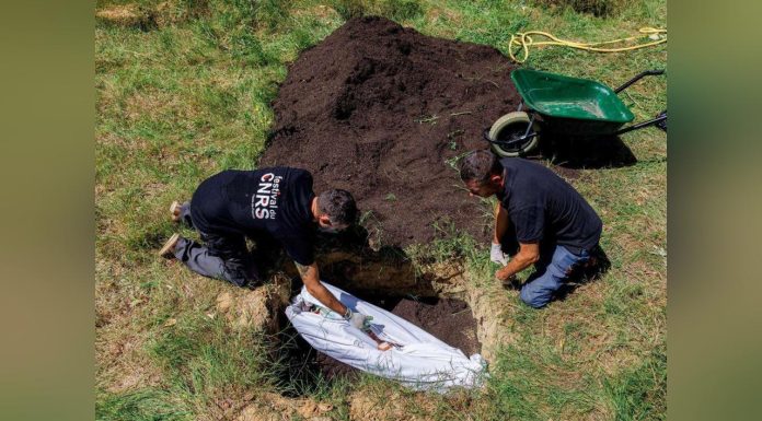 Compostage Funéraire une Alternative Écologique Compostage Funéraire une Alternative Écologique
