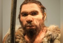 Nez de Néandertal Plus Adapté au Froid que Sapiens Nez de Néandertal Plus Adapté au Froid que Sapiens