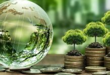 Essor du Financement Vert en Afrique entre Rigueur Essor du Financement Vert en Afrique entre Rigueur