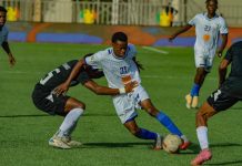 Championnat National de Ligue 1 Professionnelle 2023 Championnat National de Ligue 1 Professionnelle 2023