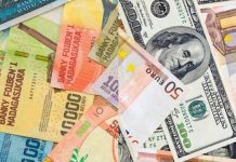 La Glissade de L’Ariary Reprend Face à L’Euro et au Dollar La Glissade de L’Ariary Reprend Face à L’Euro et au Dollar