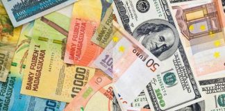 La Glissade de L’Ariary Reprend Face à L’Euro et au Dollar La Glissade de L’Ariary Reprend Face à L’Euro et au Dollar