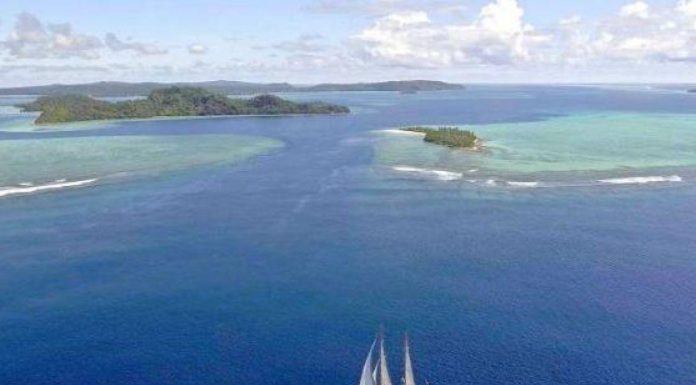 Tara Etude sur la Résistance des Coraux au Climat Tara Etude sur la Résistance des Coraux au Climat