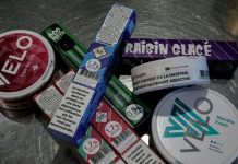 Suspension D’Un Décret sur les Sachets de Nicotine Suspension D’Un Décret sur les Sachets de Nicotine