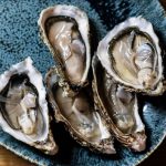 Vomir une Huître Peut Affecter Votre Goût pour elles Vomir une Huître Peut Affecter Votre Goût pour elles