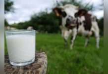 Avons-Nous Vraiment Besoin de Boire du Lait? Avons-Nous Vraiment Besoin de Boire du Lait?