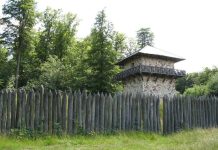 Expansion Romaine et Déforestation en Gaule et Germanie Expansion Romaine et Déforestation en Gaule et Germanie