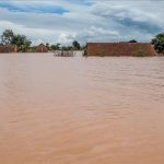 11 Corps sans Vie Retrouvés dans un Conteneur 11 Corps sans Vie Retrouvés dans un Conteneur