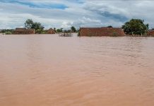 11 Corps sans Vie Retrouvés dans un Conteneur 11 Corps sans Vie Retrouvés dans un Conteneur