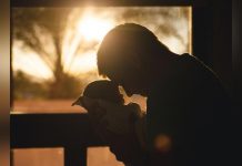 LIVRE. la Paternité au Crible de la Science LIVRE. la Paternité au Crible de la Science