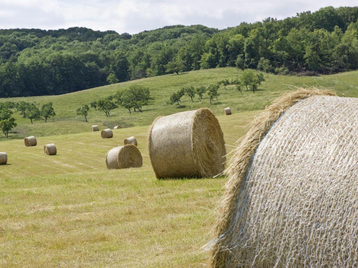 Alimentation comme Arme de Guerre, Alerte du Commissaire Alimentation comme Arme de Guerre, Alerte du Commissaire