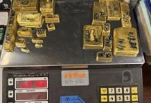 Douane Saisit 250 000 Dollars et 5 Kilos D’Or Douane Saisit 250 000 Dollars et 5 Kilos D'Or