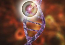 IA Identifie Mutations Génétiques de Maladies Rares IA Identifie Mutations Génétiques de Maladies Rares