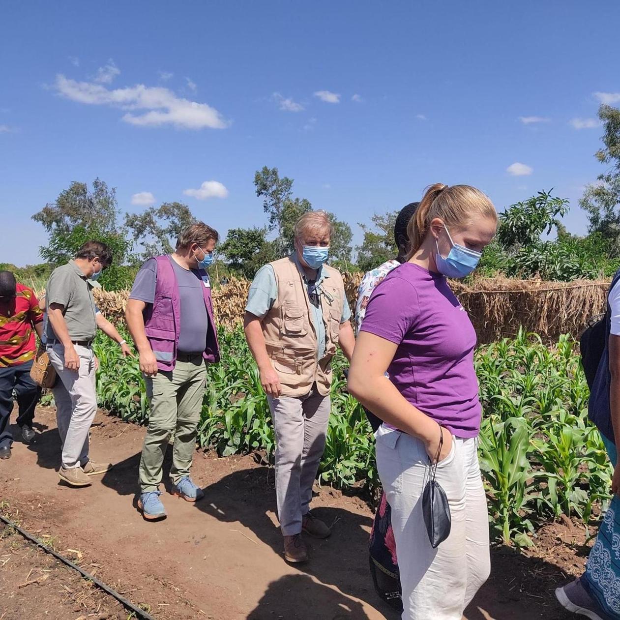 TRANSFORM Project excites smallholder farmers in Dowa TRANSFORM Project excites smallholder farmers in Dowa