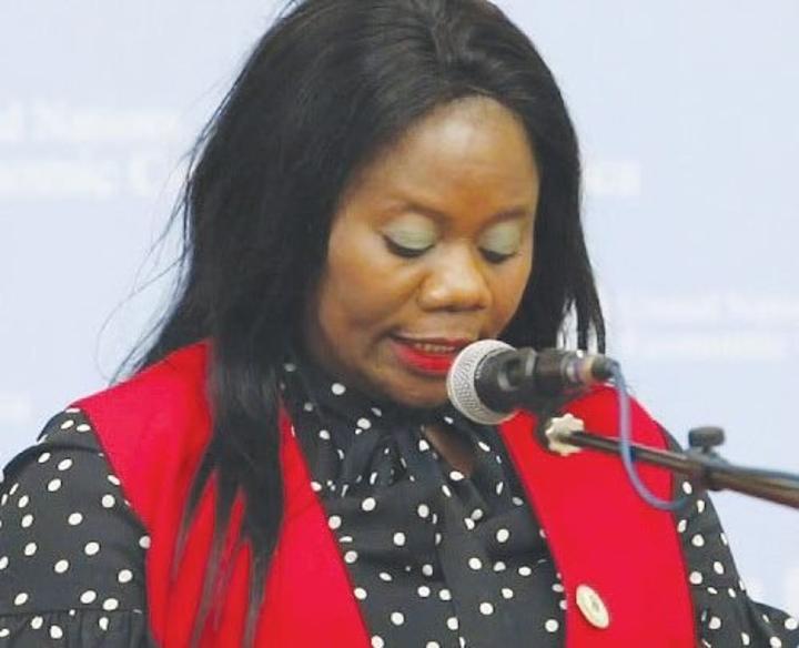 Gov’t starts issuing maize export licenses Gov’t starts issuing maize export licenses