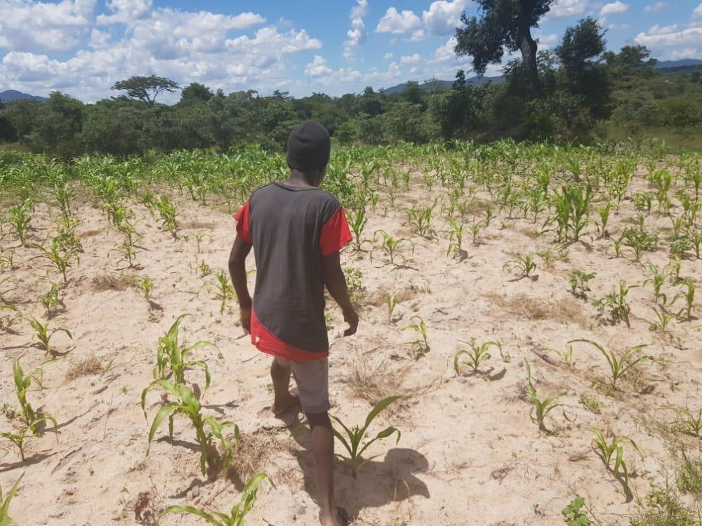 “At least 55% of crises can be predicted but less than 1% of humanitarian funding is released early” “At least 55% of crises can be predicted but less than 1% of humanitarian funding is released early”