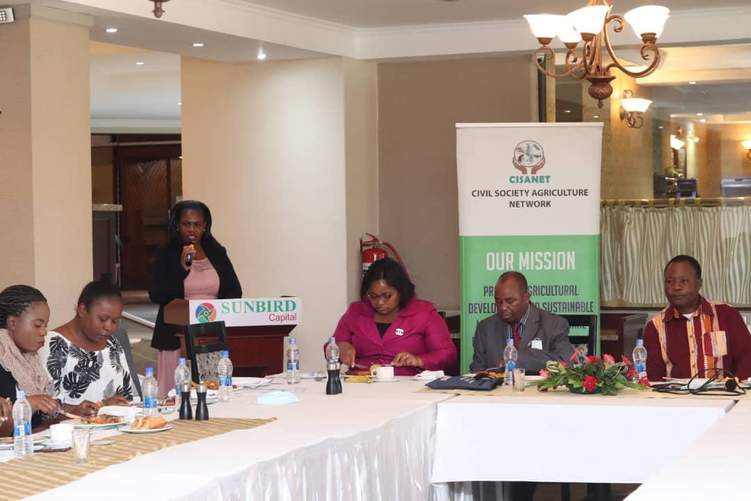 CISANET unhappy with fake seeds’ proliferation as new law not operational CISANET unhappy with fake seeds’ proliferation as new law not operational