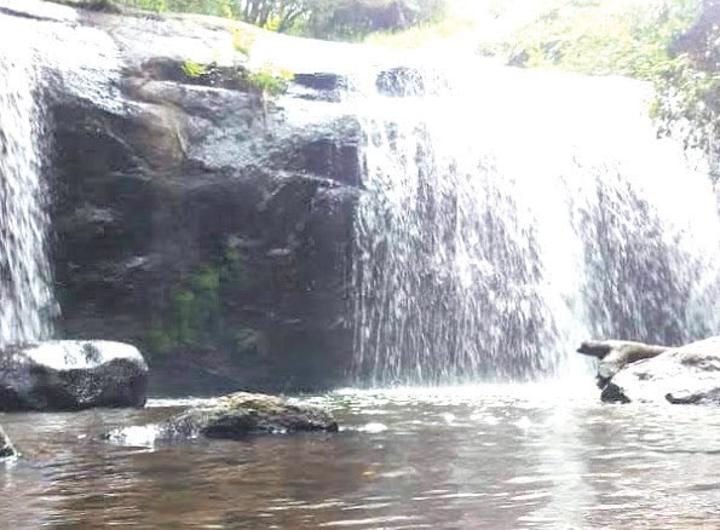 Neglected tourism hub in William Falls Neglected tourism hub in William Falls